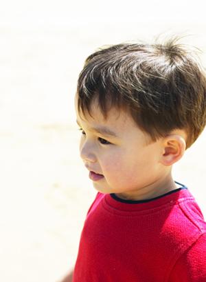 2025年最新版：東京の専門学校で学ぶグラフィックデザインの魅力と選び方ガイド