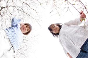 本格的なオンライン教育でMBA学位取得